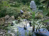 P7260888.webp