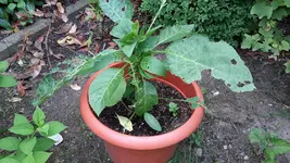 20150726_164315.jpg