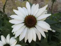 Bilda004.webp