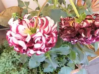 Bilda010.webp