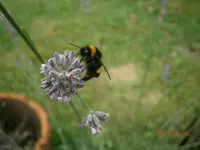 P7260898.webp
