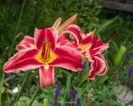 IMG_3291.jpg