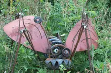 DSCF2441.webp