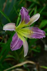 10lovelylight.webp