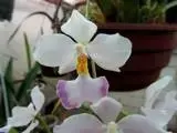 IMG_5027 - Kopie.webp