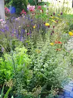 DSCN9616.webp