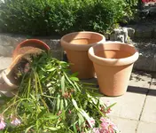 DSCN9693.webp