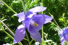 P1060444.webp