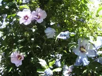 BILD4389.webp