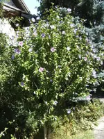 BILD4392.webp