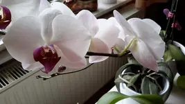 20150727_164646.webp