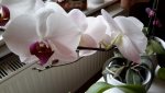 20150727_164646.jpg