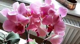 20150727_164654.jpg