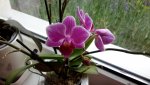 20150727_164704.jpg