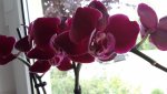 20150727_164821.jpg