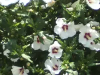 BILD4357.webp