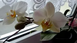 20150727_164857.webp