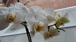 20150727_164915.jpg