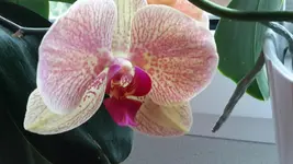 20150727_164934.jpg