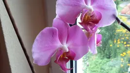 20150727_164940.jpg