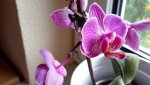 20150727_164947.jpg