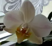 20150727_164857-1.webp