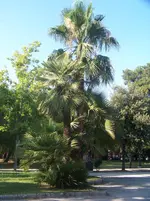 100_6582.webp