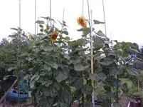 20150727_182608.webp