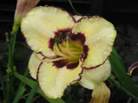 meant to be_1067x800.webp