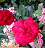 IMG_5608.webp