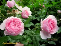 IMG_5609.webp