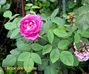 IMG_5611.webp