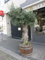 P1440821.webp