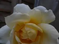 P1480024.webp