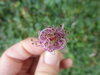 P1480036.webp