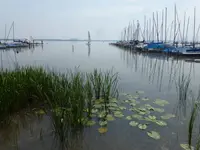 P1450860.webp