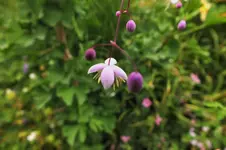DSCF2492 (2).webp