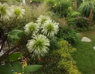 DSCF2487 (4).webp