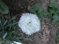 P1470213.webp