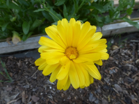 P1470229.webp