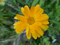 P1470245.webp
