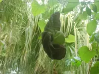 CIMG2138.webp