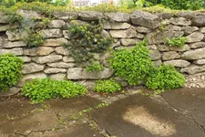 DSCF1022.webp