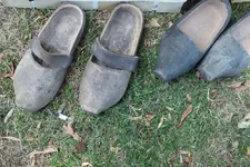 DSCF2458.webp
