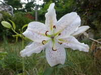 P1480027.webp