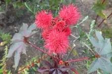 DSCF2430.webp