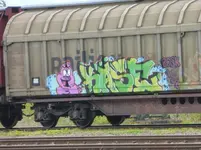 P1470980.webp