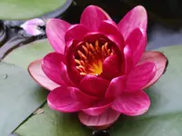 DSCF3943.webp