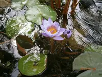 P7280916.webp