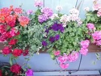 a_DSCN1821.webp